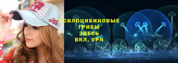 mdpv Белокуриха