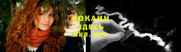 mdpv Белокуриха