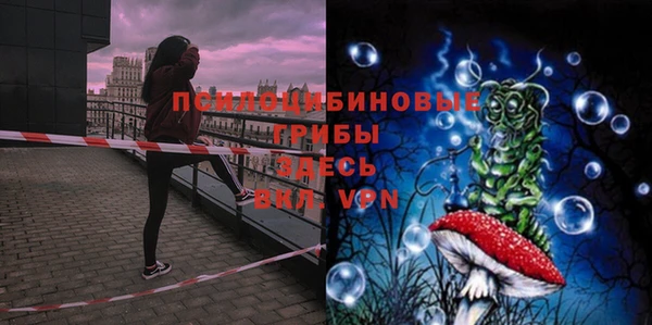 mdpv Белокуриха