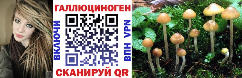 купить наркотик  Киров  Псилоцибиновые грибы Magic Shrooms 